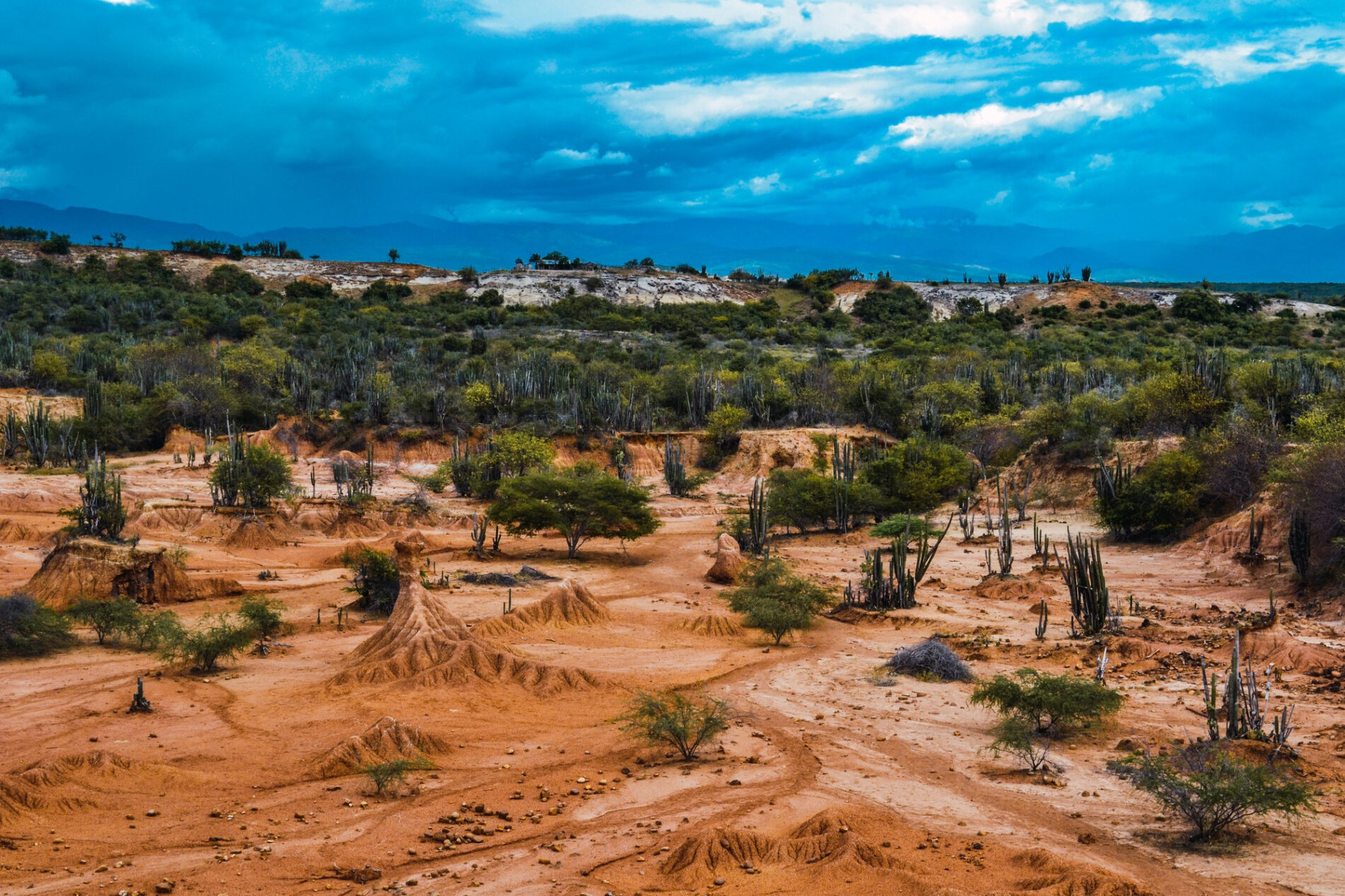 Voyage en Van Sénégal